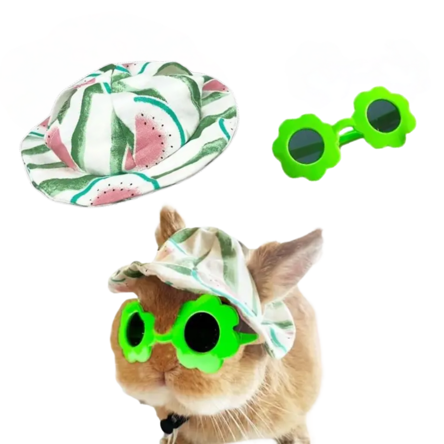 Rabbit Hat & Sunglasses Set