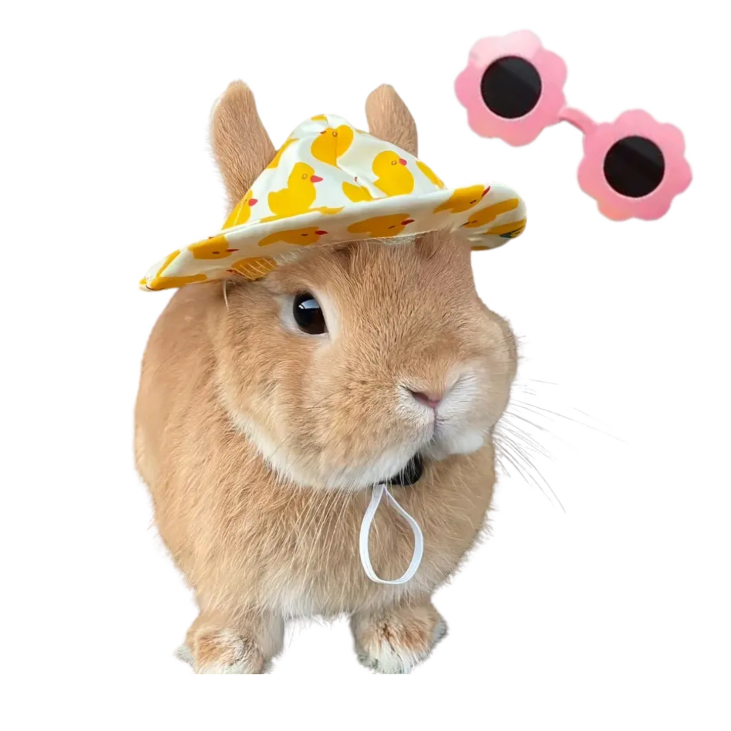 Rabbit Hat & Sunglasses Set